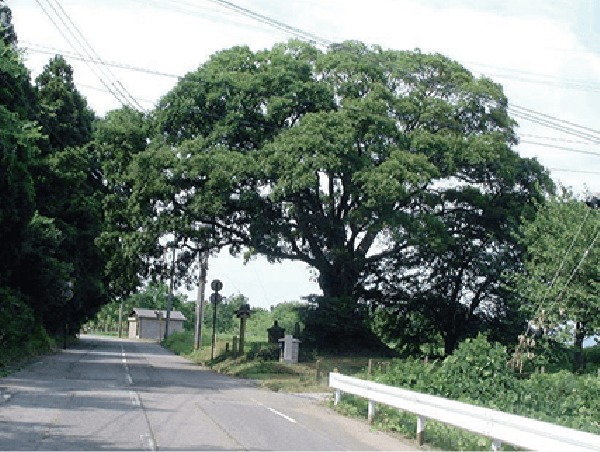 千束一里塚跡