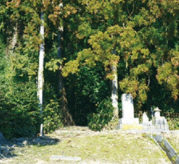 神宮寺城跡